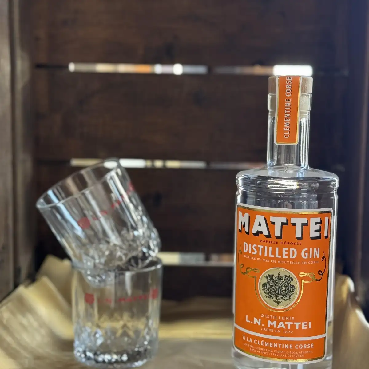 GIN MATTEI Clémentine